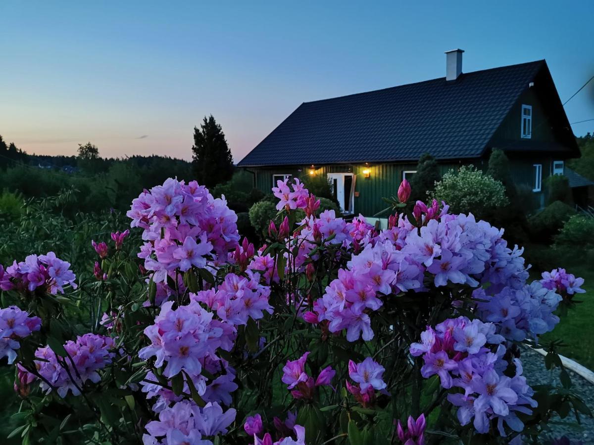 Zielony Zakatek Ciezkowice Esterno foto